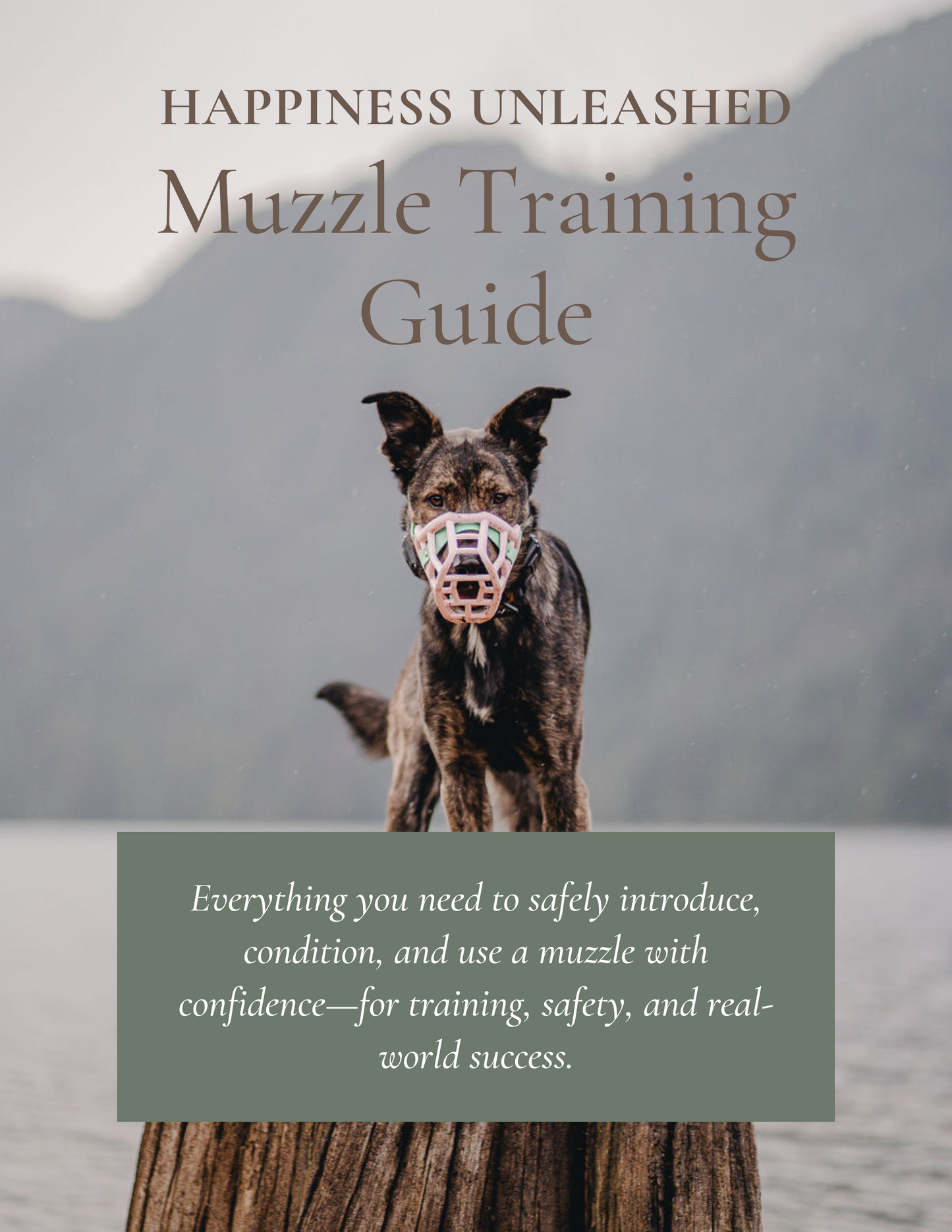 Muzzle Training Guide (Digital Download)