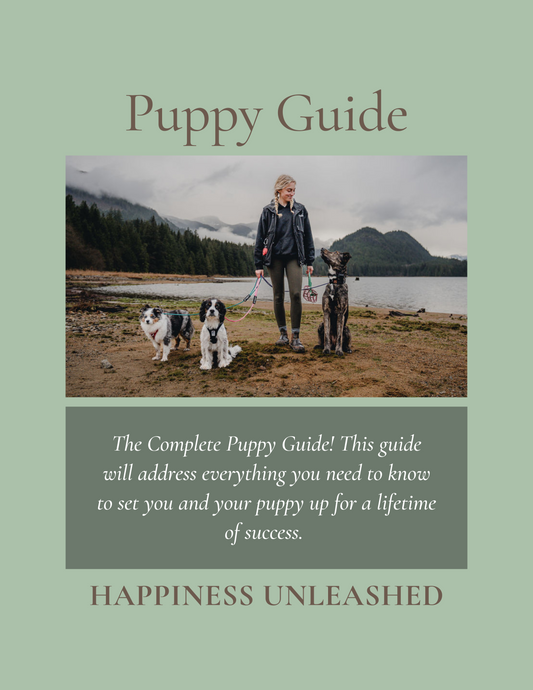 Puppy Guide (Digital Download)